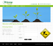 MV Synergy Solutions